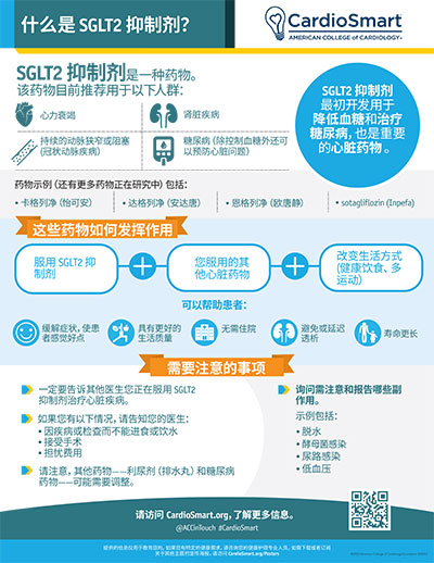 りん様専門ページ SGLT2 Inhibitors: What Are SGLT2 Inhibitors? (Chinese
