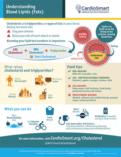 Blood Lipids (Fats)