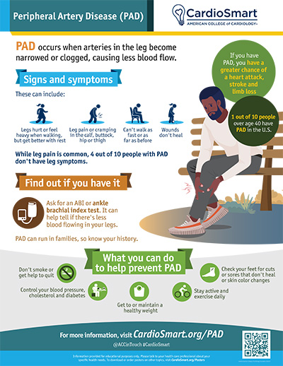 Peripheral Artery Disease Infographic Cardiosmart American